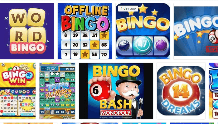 Bingo Fun Apk Mod